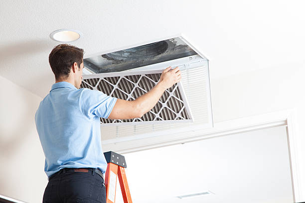 Best Air Filters and Purifiers in Slippery Rock University, PA